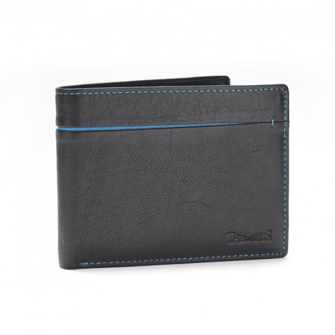 wallet 176